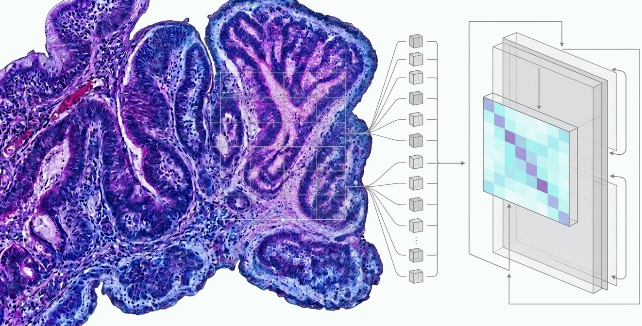 Histology section of tissue with a sampling grid, feeding through layered model panels into a heatmap and a predicted molecular profile.